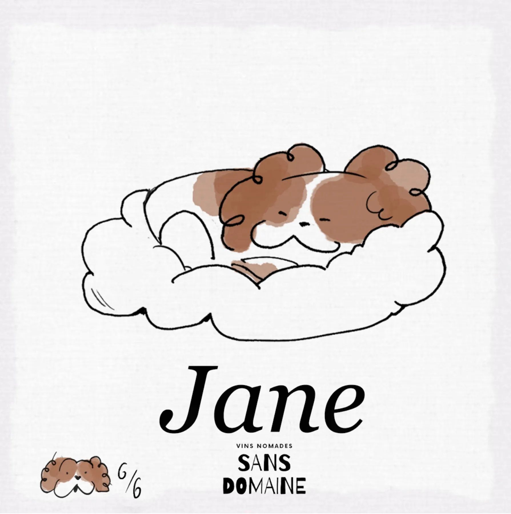 Jane 6/6: la Jane dormint sobre un núvol